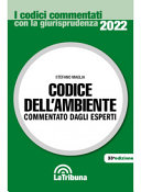Copertina  Codice dell'ambiente 