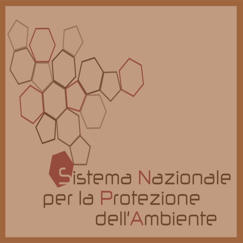 Copertina  Progettazione del monitoraggio di vapori nei siti contaminati 